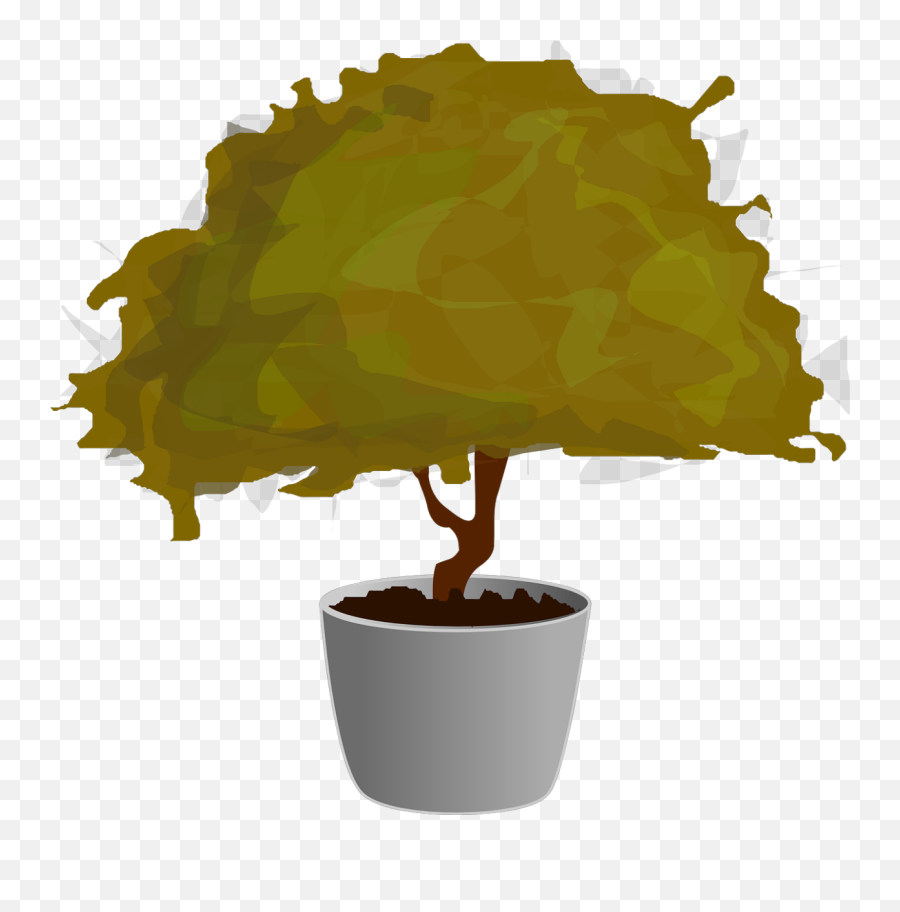 Bonsai Tree Small Japanese Backgrounds Png
