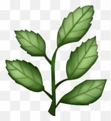 Download Herb Emoji Image In Png - Herb Emoji Png,Herbs Png
