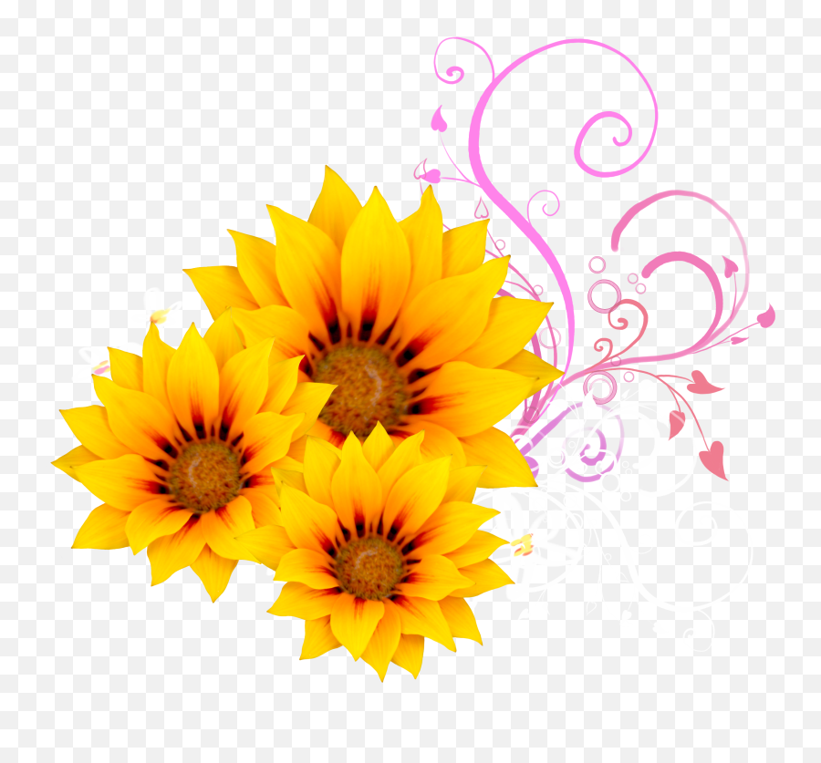 Download Watercolor Sunflower Png - Png Sunflower Pink,Watercolor Sunflower Png