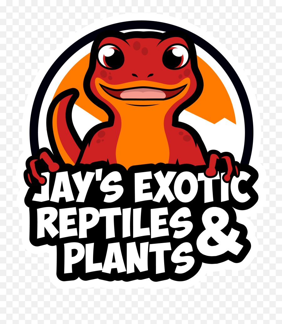 Reptiles Jayu0027s Exotic U0026 Plants United States - Cartoon Png,Reptiles Png