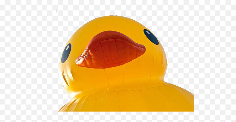 Disgruntled Ramblings And Designs - Giant Rubber Duck Png,Rubber Duck Transparent Background