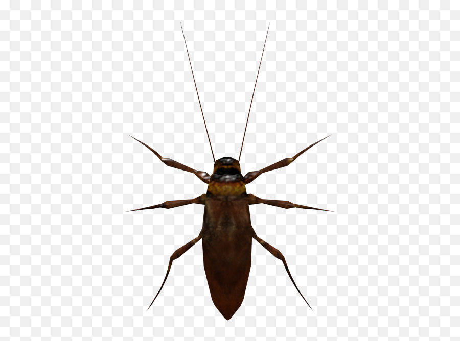 Pc Computer - Five Nights At Freddyu0027s Vr Help Wanted Longhorn Beetle Png,Roach Png