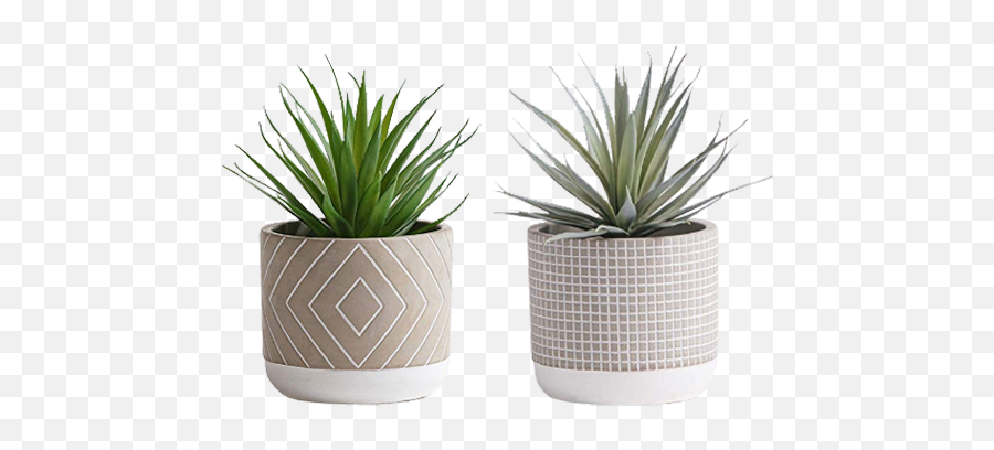 Faux Succulent In Modern Pot Rentals For Events U0026 Weddings - Modern Potted Plant Png,Succulent Png