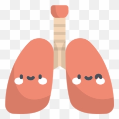 Lungs - Free medical icons Pulmones Png