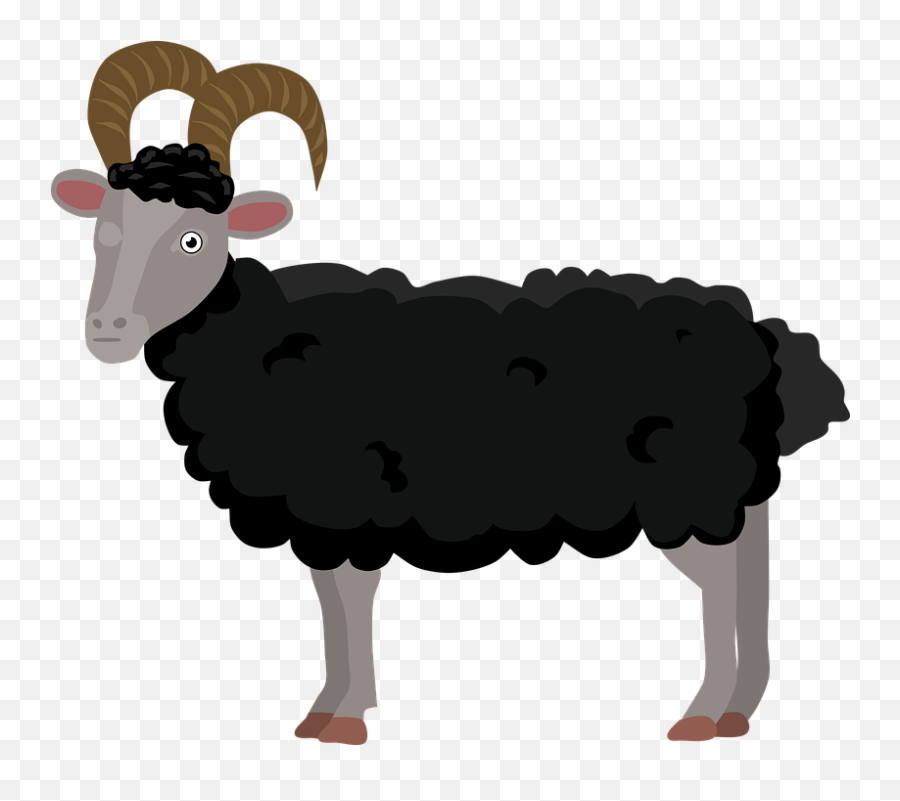 Sheep Lamb Ram - Free Vector Graphic On Pixabay Sheep Png,Lamb Png