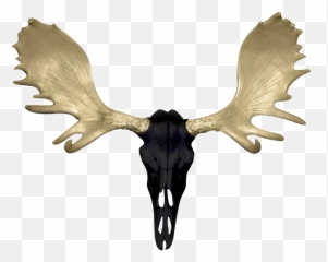 Moose Silhouette Png - Antler 3489895 Vippng