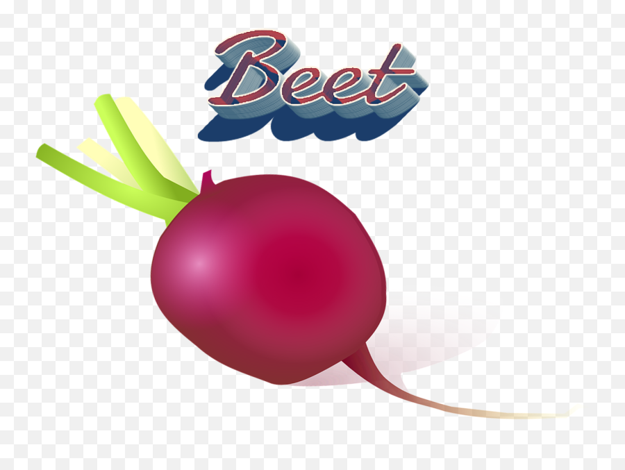 Download Hd Cartoon Radish Transparent Png Image - Nicepngcom Beet,Radish Png