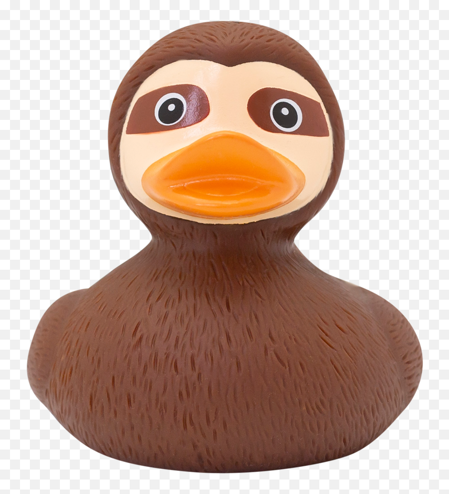 Sloth Duck - Sloth And A Duck Combined Png,Sloth Transparent