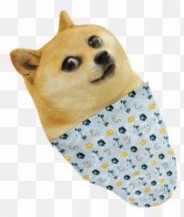 Dogelore - Shiba Inu Png,Doge Png