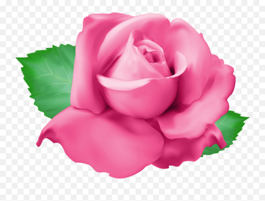 Pink Rose Png Images Background - Portable Network Graphics,Pink Rose Transparent Background
