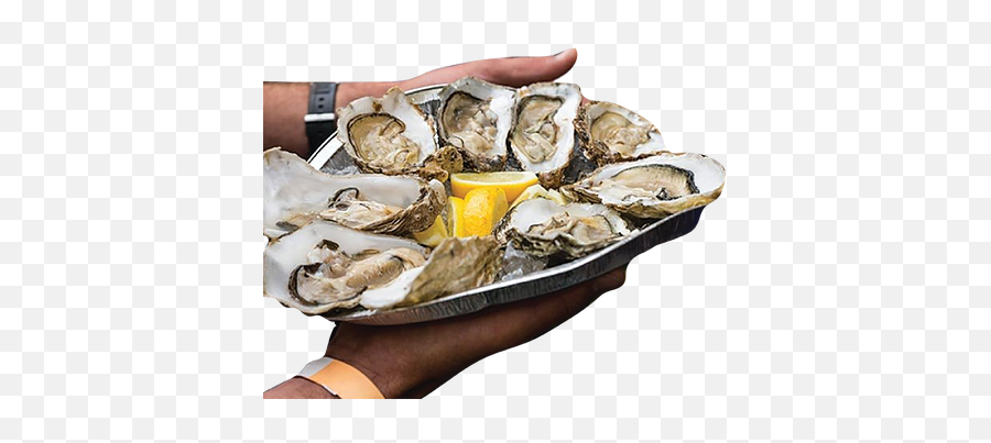 Vip Experience Tickets Urbanna Oyster Festival - Oyster Png,Oysters Png