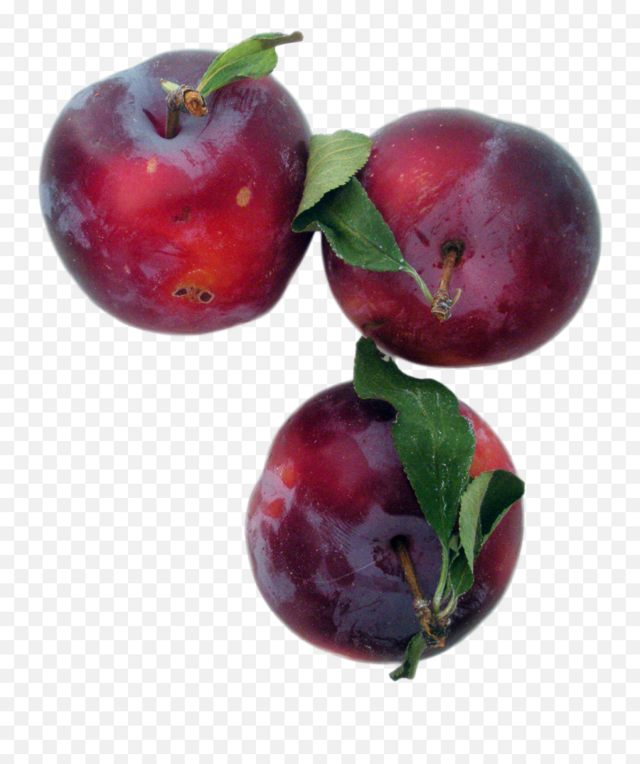 Plums Png Image For Free Download - Prunus Sect Prunus,Plum Png