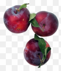 Plums Png Image For Free Download - Prunus Sect Prunus,Plum Png
