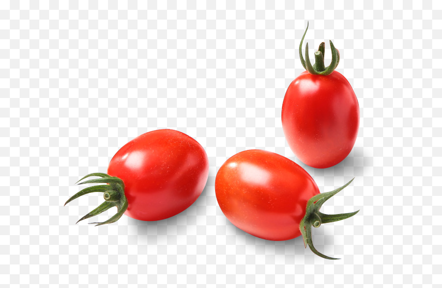 Grape Tomato Png Free - Transparent Cherry Tomatoes Png,Tomatoes Png