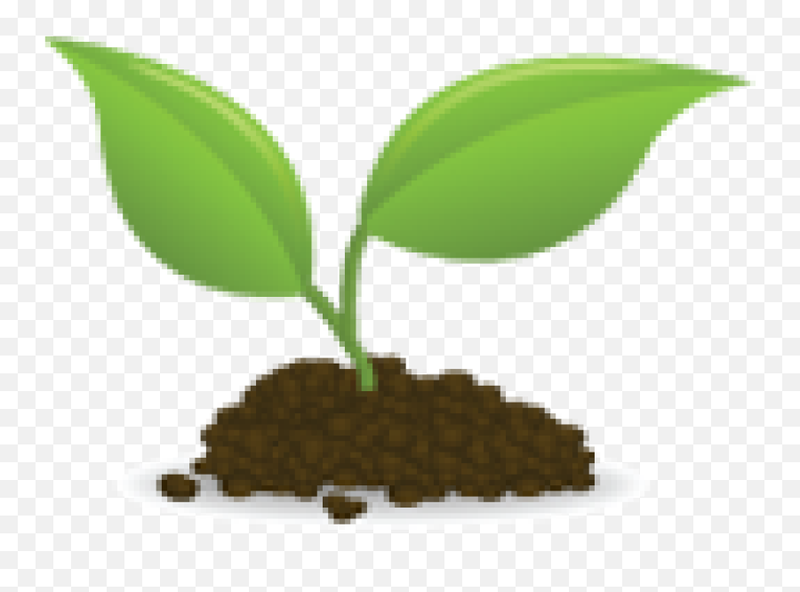 Picture - Sapling Clipart Png,Sprout Png