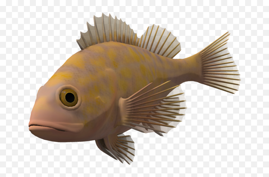 Ocean Fish Transparent Background - Transparent Background Transparent Fish Png,Fish Transparent Background