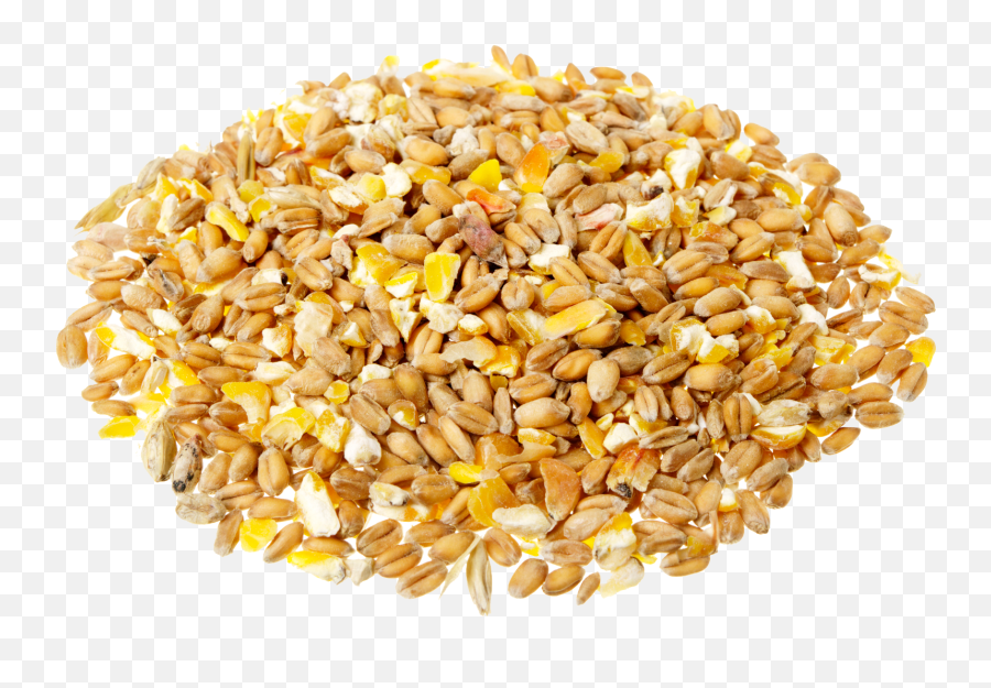 Grain Clipart Transparent - Transparent Background Cereales Png,Grains Png