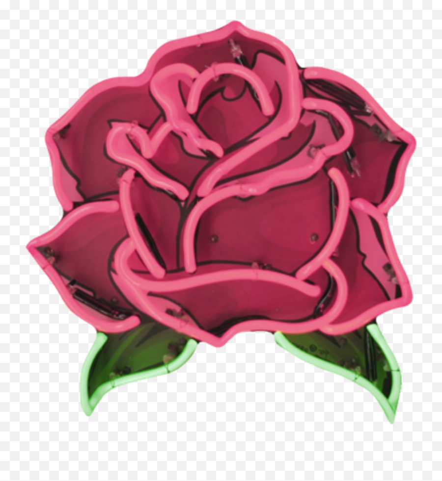 Roses Rosa Flor Flower Led Tumblr Neon - Rose Sticker Transparent Png,Tumblr Collage Png