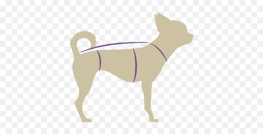Products - Quirkysqrl Ancient Dog Breeds Png,Sqrl Logo