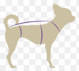 Products - Quirkysqrl Ancient Dog Breeds Png,Sqrl Logo