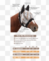 Fly Mask With Ears And Fleece Trim - Measure A Horse For A Fly Mask Png,Horse Mask Png