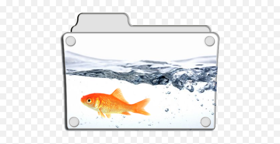 Fish Icon 512x512px Ico Png Icns - Free Download Goldfish,Fish Icon Png