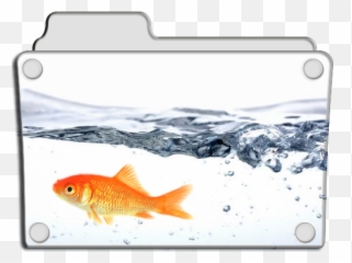 Fish Icon 512x512px Png Icns - free download Goldfish