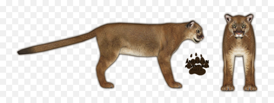 Mountain Lion Png 7 Image - Zoo Tycoon 2 Cougar,Mountain Lion Png