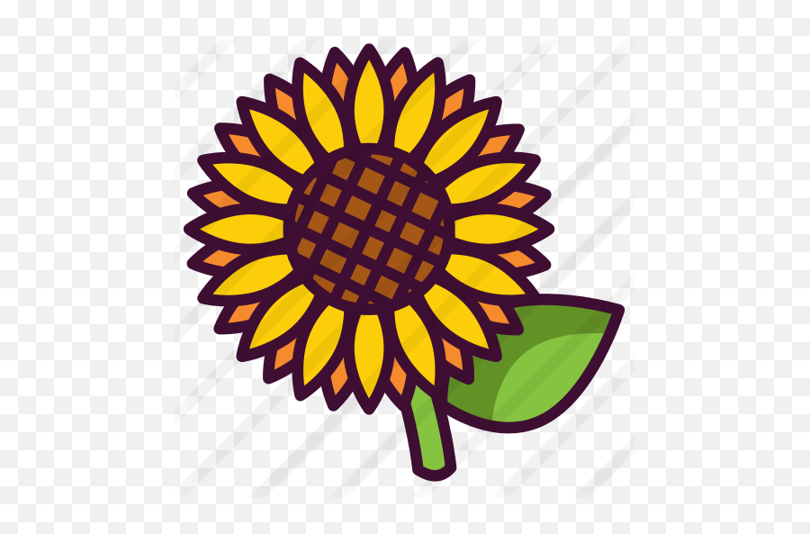 Sunflower - Free Nature Icons Gymnastics Federation Of India Png,Sunflower Icon