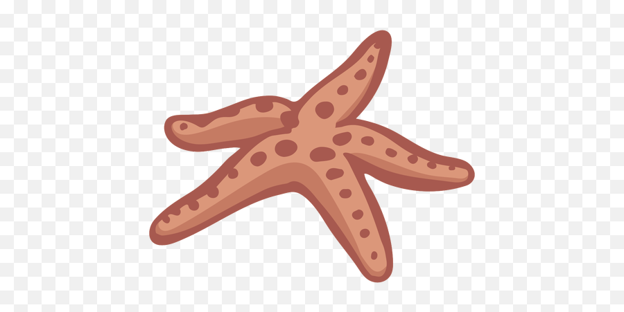 Transparent Png Svg Vector File - Starfish,Starfish Transparent