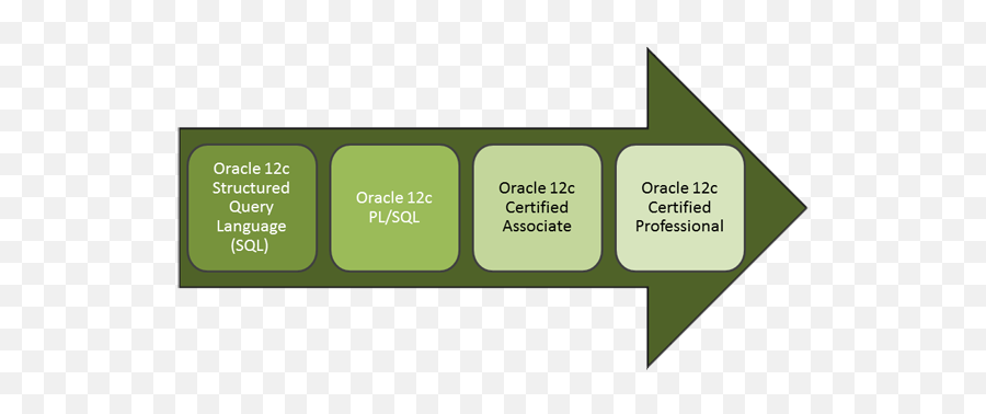 Download Hd Oracle Classes Path - Oracle Database Vertical Png,Oracle Icon Png