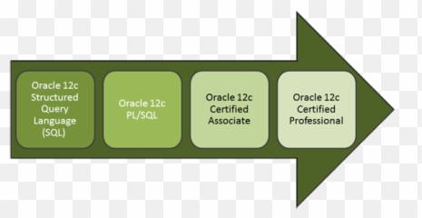 Download Hd Oracle Classes Path - Oracle Database Vertical Png,Oracle Icon Png