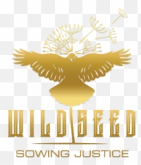 Wildseed Oil - Language png