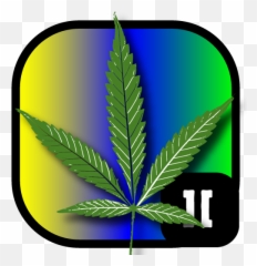 Stoner Slots - Language png
