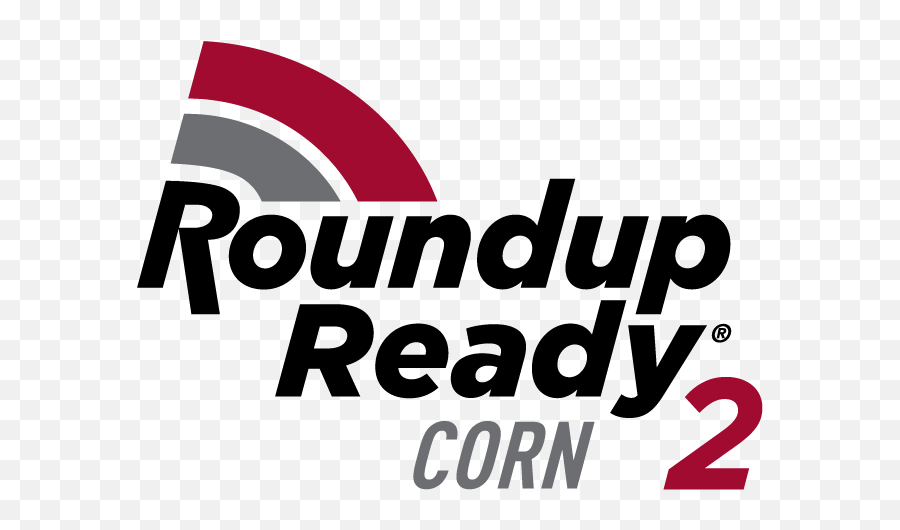 Traits U0026 Treatments Corn Products Grain - Forage Rupp Seed Roundup Ready Corn Png,Corn Stalk Icon