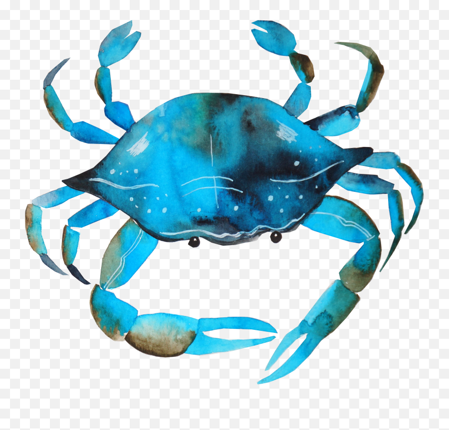 Download Hd Blue Crab Png - Watercolor Crab Transparent Png Painting Of Cancer Crab,Crab Transparent Background