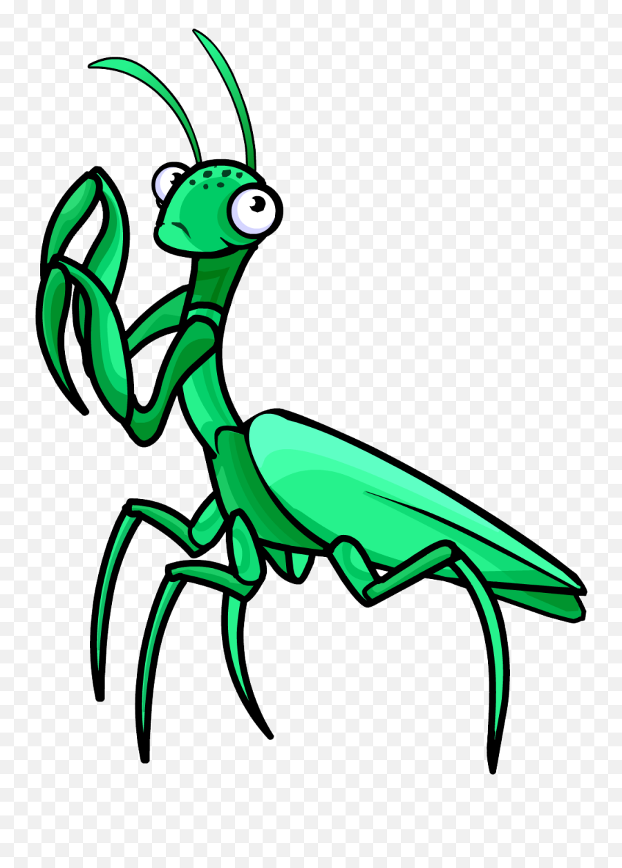 Mantis Png - Praying Mantis Cartoon Png,Mantis Png