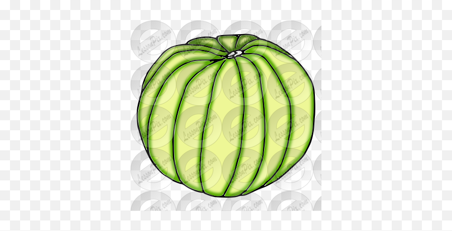 Gourd Picture For Classroom Therapy Use - Great Gourd Clipart Zucchini Png,Gourd Png
