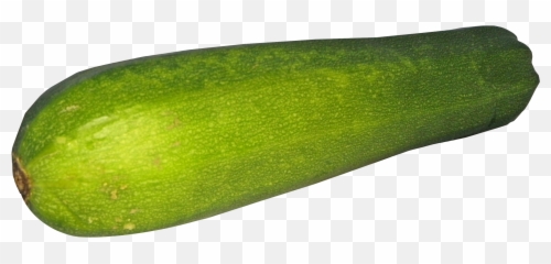 Download Zucchini Png Image For Free - Zucchini With Transparent Background,Squash Png