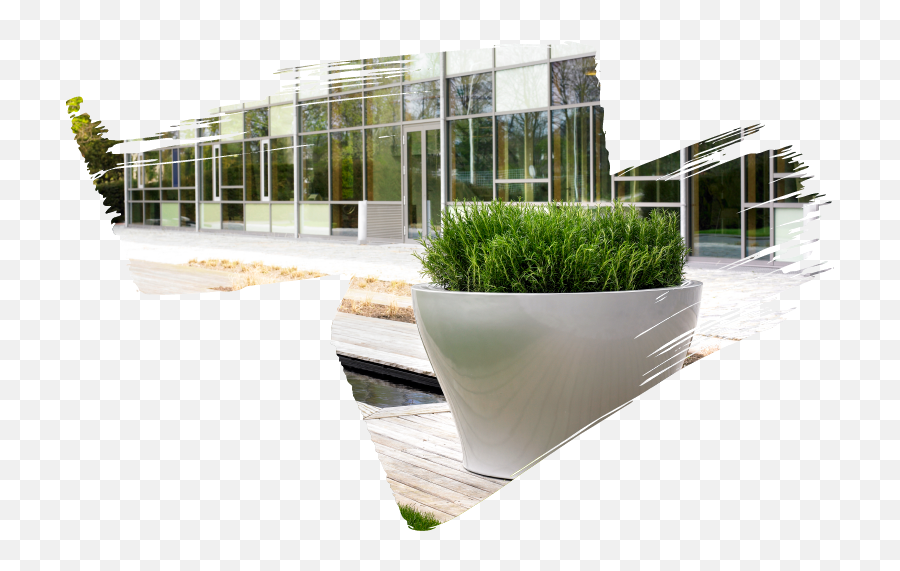 Plant - Designnaturaoutsideexteriors Natura Enhancing Artificial Turf Png,Green Wall Png