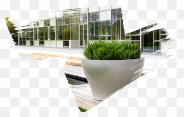 Plant - Designnaturaoutsideexteriors Natura Enhancing Artificial Turf Png,Green Wall Png