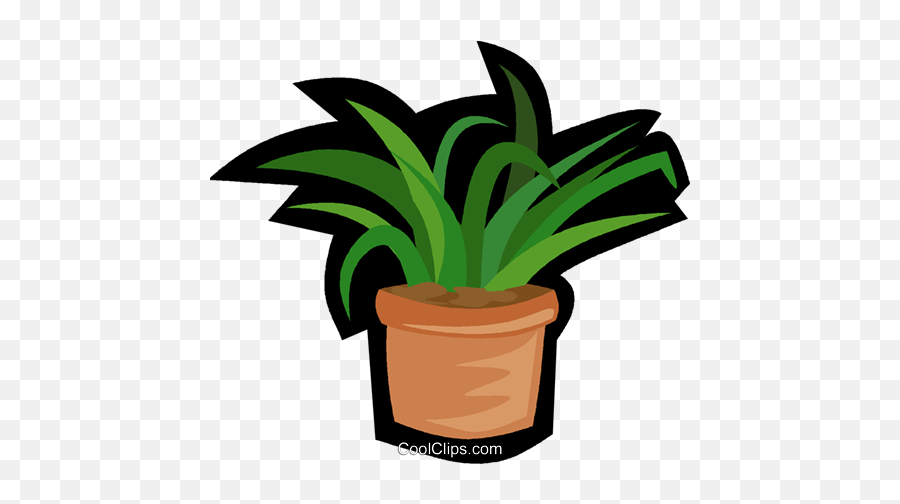 Download House Plant Yucca Royalty Free Vector Clip - Clipart Pflanze Png,Yucca Png