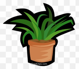 Download House Plant Yucca Royalty Free Vector Clip - Clipart Pflanze Png,Yucca Png