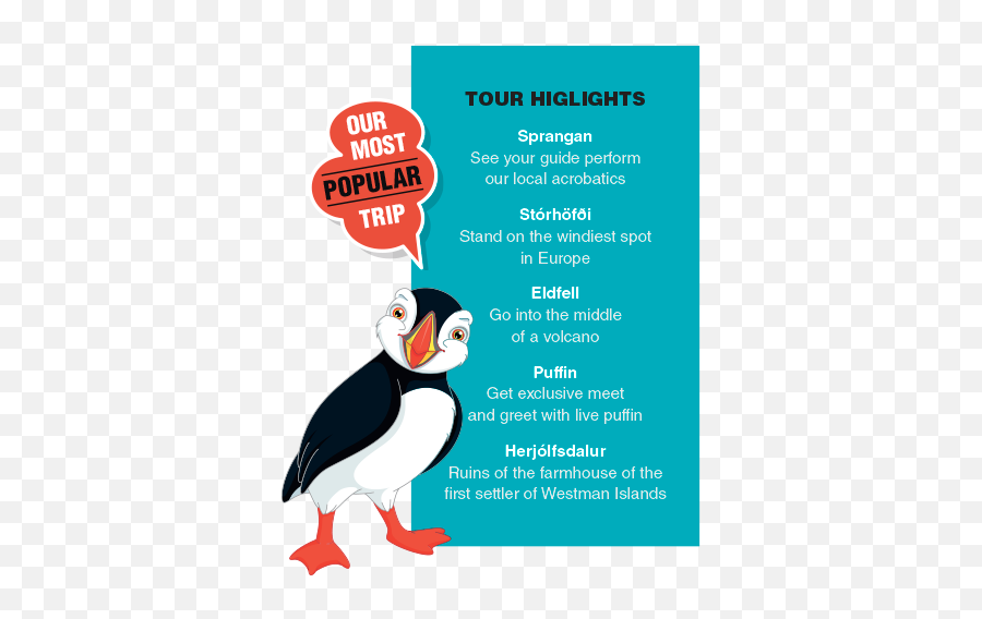 Puffin And Volcano Tour In Westman Islands - See The Biggest Png,Puffin Png