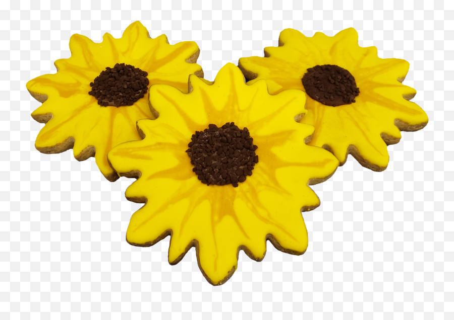 Sunflower Cookie - Sunflower Png,Sunflower Emoji Transparent