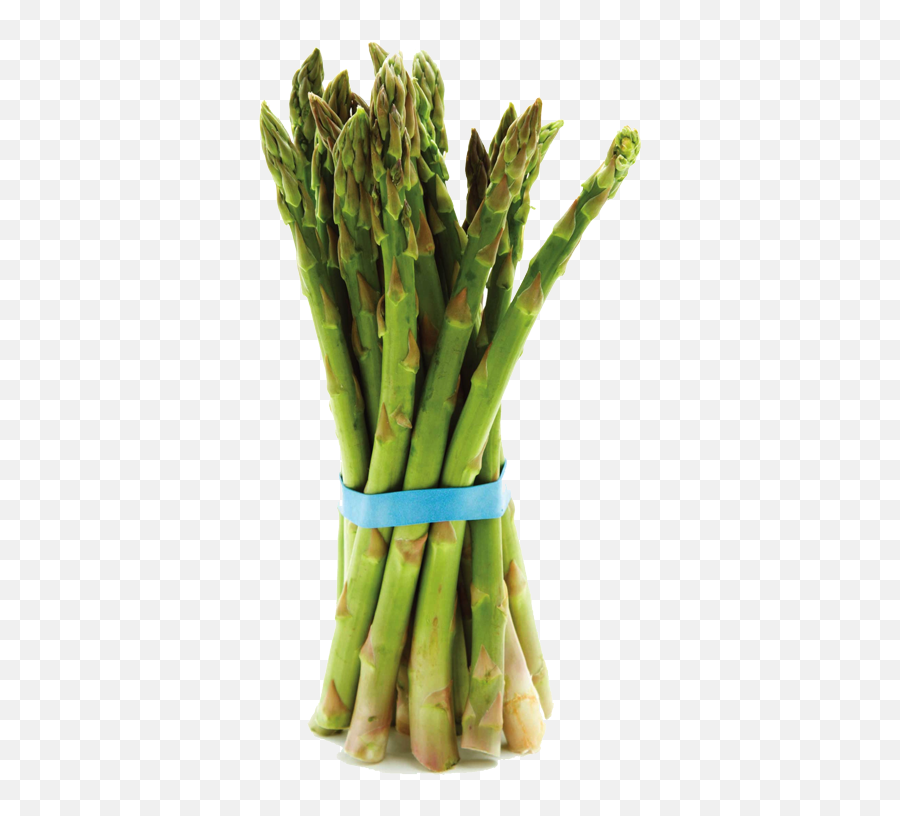 Download 1252 Indian Rd Creston Bc 1 - Fruit Is Best For Gas Problem Png,Asparagus Png