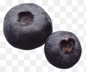 Blueberry Png Image - Purepng Free Transparent Cc0 Png Fruits,Blueberry Png