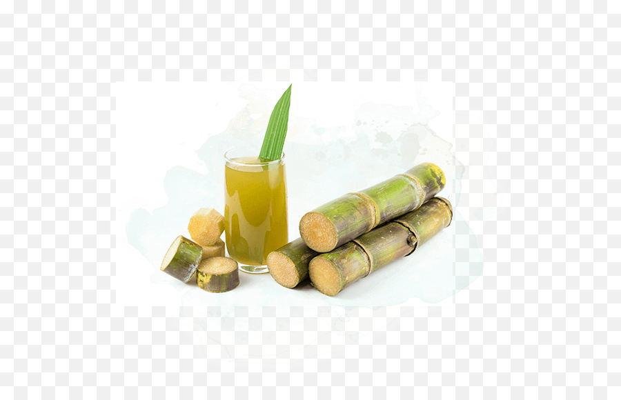 What Is Sugarcane - Geevani Png,Sugar Cane Png