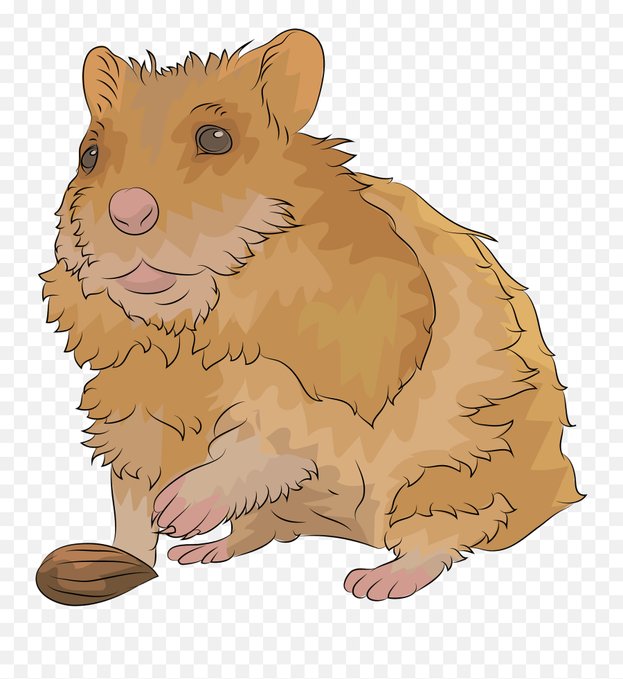 Clipart - Groundhog Day Png,Hamster Png