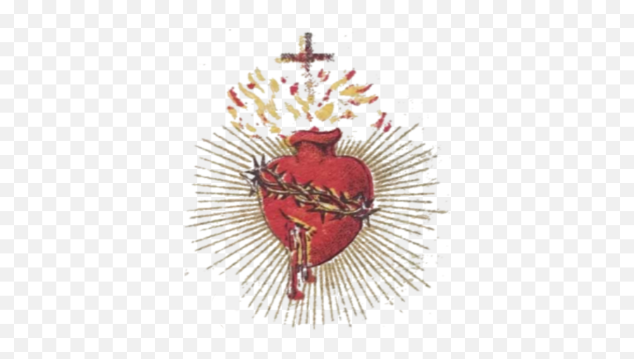 Homepage - Lovely Png,Sacred Heart Png
